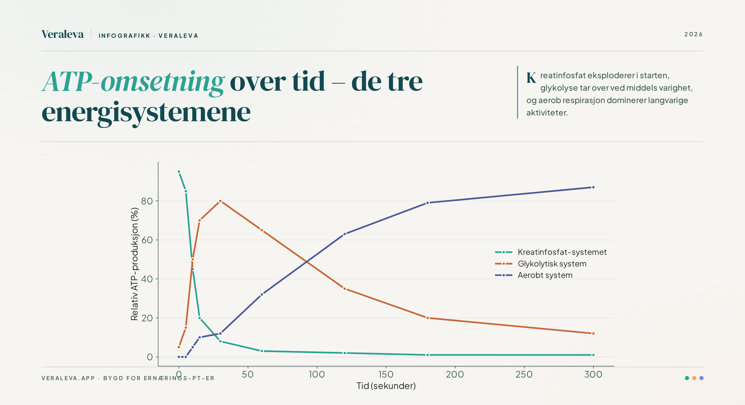 ATP-omsetning over tid for de tre energisystemene. Kreatinfosfat-systemet eksploderer i de første sekundene, det glykolytiske systemet topper i 10–60 sekunder, og det aerobe systemet er stabilt og dominerer fra 2 minutter og utover