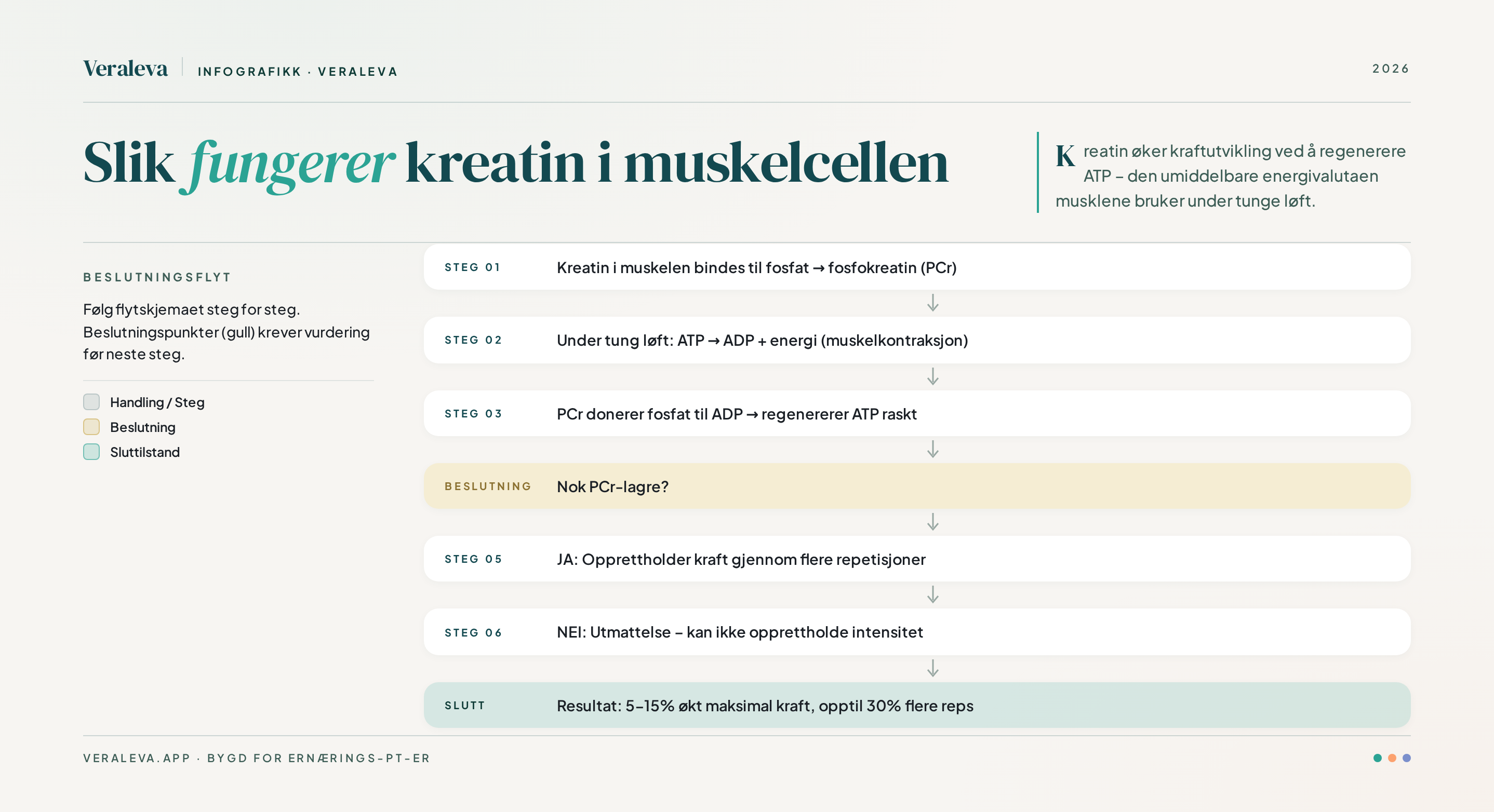 Infografikk som viser hvordan kreatin virker i muskelcellen
